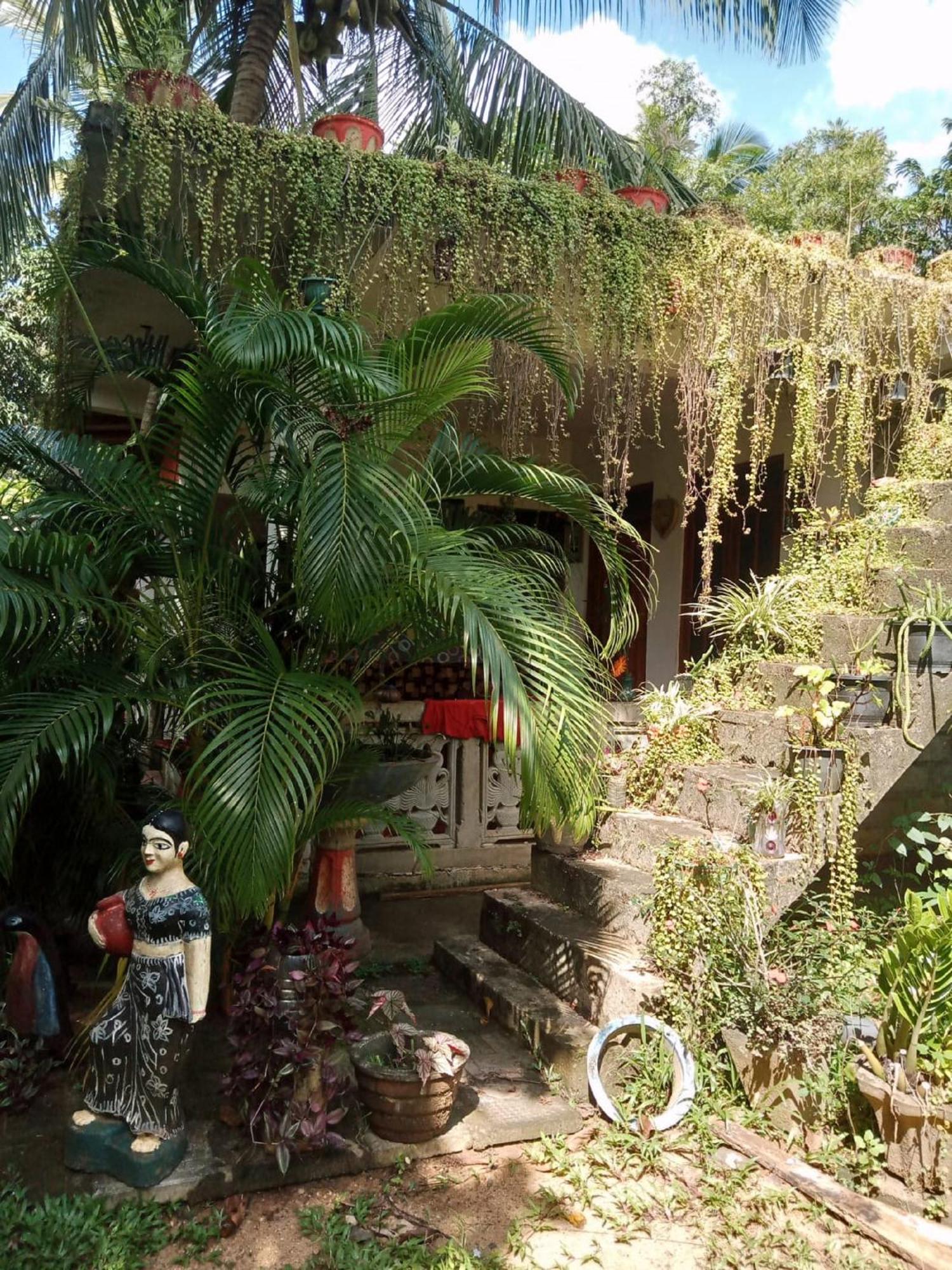 Nelum Home Stay Sigiriya Eksteriør bilde